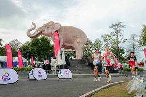 BIB: 
                            <button type="button" onclick="openModal(26528437)" class="btn btn-primary btn-sm float-right btn-popup" data-toggle="modal" data-target=".modal-high-quality">
                        <i class="fas fa-shopping-cart"></i> Add to Cart
                    </button>
                                            <button type="button" onclick="isThisMe(26528437, true)" class="btn btn-success btn-sm float-right btn-popup btn-isme hidden" data-toggle="tooltip" data-placement="bottom" title="นี่คือรูปของคุณใช่ไหม คลิกที่นี่เพื่อเอาเข้าอัลบั้ม">
                        <i class="fas fa-plus"></i> Add to album
                    </button>
                    <button type="button" onclick="isThisMe(26528437, false)" class="btn btn-warning btn-sm float-right btn-popup btn-isnotme hidden">
                        <i class="fas fa-ban"></i> Remove from album
                    </button>